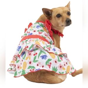 NWT Vibrant Life Dog Dress Size Medium